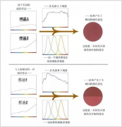 你眼中相同的顏色，他們真的相同么？